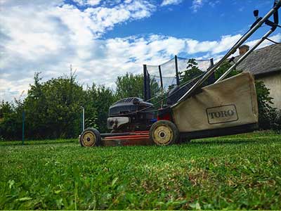Garden Services